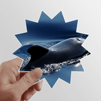 Ocean Water Sea Whale Science Nature Slicket Sun Vinil naljepnica za prtljag Graffiti cvijeće naljepnica