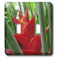 3Droza Heliconia Flower, Valley Manoa, Honolulu, Havaji - US DPB - Douglas Peebles - dvostruki preklopni prekidač