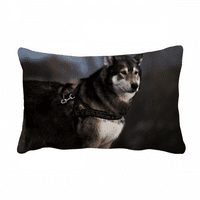 Pas Husky Animal Lonely Noćni jastuk Jastuk Lumbalni umetak za jastuk Konstrukcija kućnog dekoracija