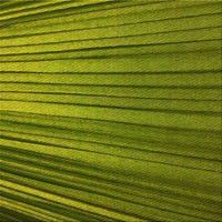 Ahgly Company u zatvorenom pravokutniku uzorcili pistachio Green Diel Prostirke, 7 '9 '