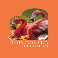 Sarasota, Florida, Flamingos, Contour