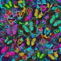 Leptir u boji leptir eksplozijski poster Ispis Alixandra Mullins