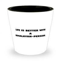 Život je bolji sa himalajskim-perzijskim. Himalayan-Perzijska mačka Shot Glass, Slatka Himalayan-Perzijska
