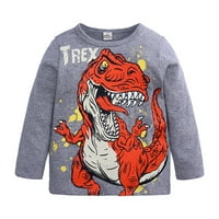 Rovga Toddler Boy Tee Tops Kids Baby Dinosaur majica s dugim rukavima Crewneck Pulover Thee Thee Jesenska odjeća Dječaci Thirs