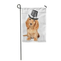 Smeđi pas sretan novogodišnja štenadska eva Rezolucija kućnih ljubimaca Zlatna zabava PUP GRADNJA Zastava