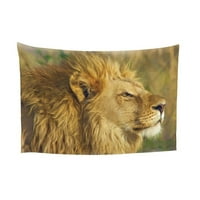 Smiješna tapiserija za spavaću sobu estetika, slikanje lavove mane uzorak zidna tapiserija za dnevni boravak