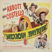 Meksički hayrid - filmski poster