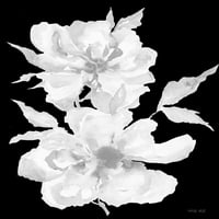Crno-bijelo cvijeće I od Cindy Jacobs