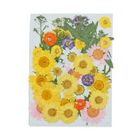 Prirodni sušeni cvjetni reljefni zanat Buketi prešani cvijeće suhi cvjetni dekori Domaćinski pokloni za svadbene kartice Type 4