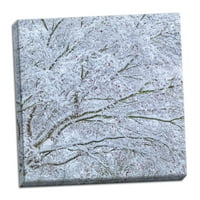 Gango Domaći dekor snijeg natkriveno Drveće II od Kathy Mahana; Jedna 24x24IN ručno rastegnuta platna