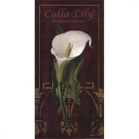 -Pen C01SAF Calla Lily - Poster Print