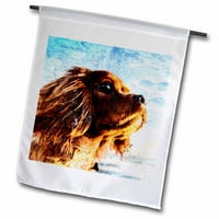 Portret slatkog kavalirskog kralja Charlesa španijelskog psa sa Sky Garden Flag FL-290737-1