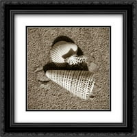 Seashells vii matted crnarna ukrašena uokvirena umjetnička print Hausenflock, Alane