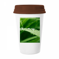 Zelena slika Nature Šalica kafa Pijenje staklo Pottery CERAC kup poklopac