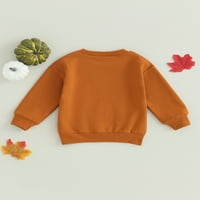 Arvbitana Toddler Dječji dječaci Djevojke Halloween odjeća Pumpkin Pismo Ispis Dukserija s dugim rukavima Kids Casesl Hoodie pulover 6m-5T