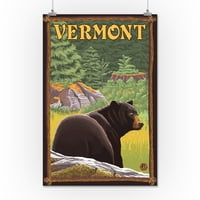 Vermont, crni medvjed u šumi
