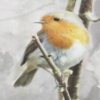 Zimski poster ptica Ispis Mlli Villa
