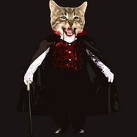 Catcula Cat Kitten Dracula Slatka smiješna Halloween majica Muški ugljen Heather Siva grafika TEE -