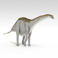 Apatosaurus Dinosaur, bijeli pozadinski poster Print