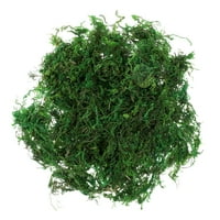 Aftificial sačuvane mahovine Terrarium Zelena mahovina Vrtlarstvo Centerpieces Bonsai Moss Decor