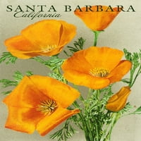 Santa Barbara, Kalifornija, Mappy Cvijeće