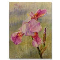 Art DesimanArt 'Pink Iris na tradicionalnim drvenim umjetničkim pločama livada - prirodno borovo drvo u. širom unutra. visoko