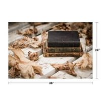 Laminirane vrlo stare antikne knjige fotografija fotografija Poster za sušenje Erase Znak 36x24