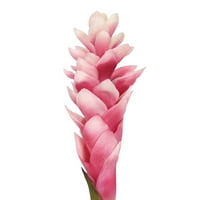 Živi luksuzni set pravi dodir ružičastih umjetnih đubriva za cvijeću tropskog spreja 31in - 31 l 3 w