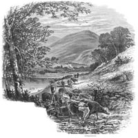 Škotska: Glenfalfoch. Na stado stoke u Glenfalloh, Škotska. Graviranje drveta, C1875. Poster Print by