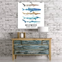Wildwood, New Jersey, imena morskih pasa, akvarel