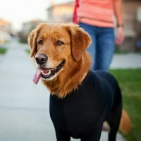 Zimska vanjska topla i mekana udobna odjeća za pse PET anti-kose elastične tajice